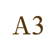 A3