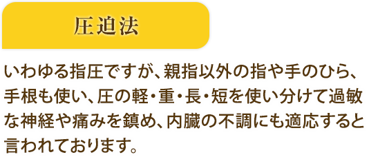 主要な手技