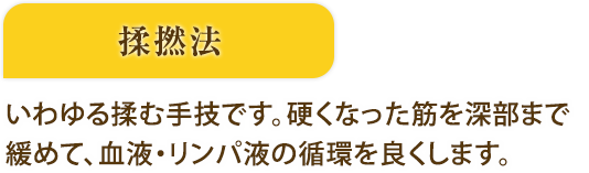 主要な手技