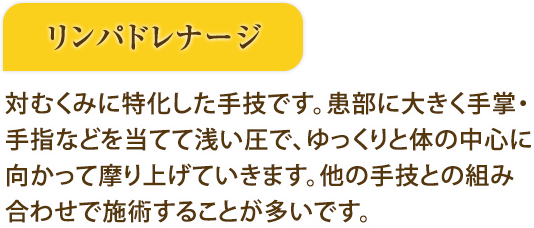 主要な手技