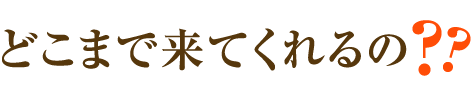 どこまで来てくれるの？？