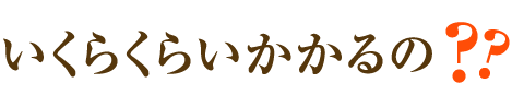 いくらくらいかかるの？？